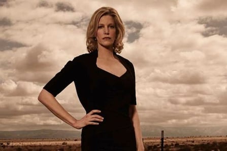 Beyerstein_Doyle_Breaking_Bad_Skyler_White