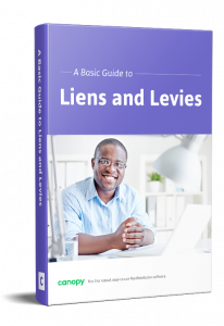 IRS Liens and Levies