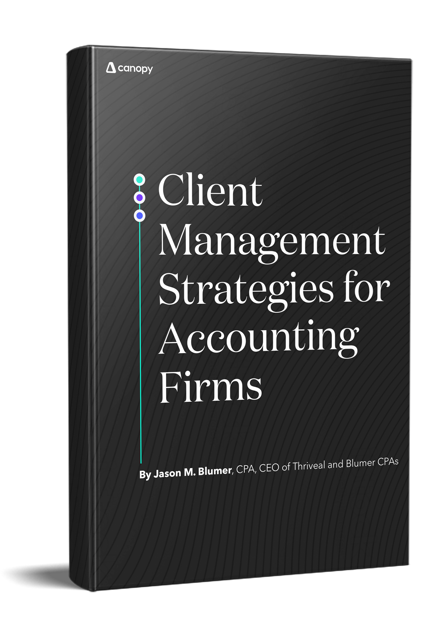 Client Management Strategies for Accounting Firms