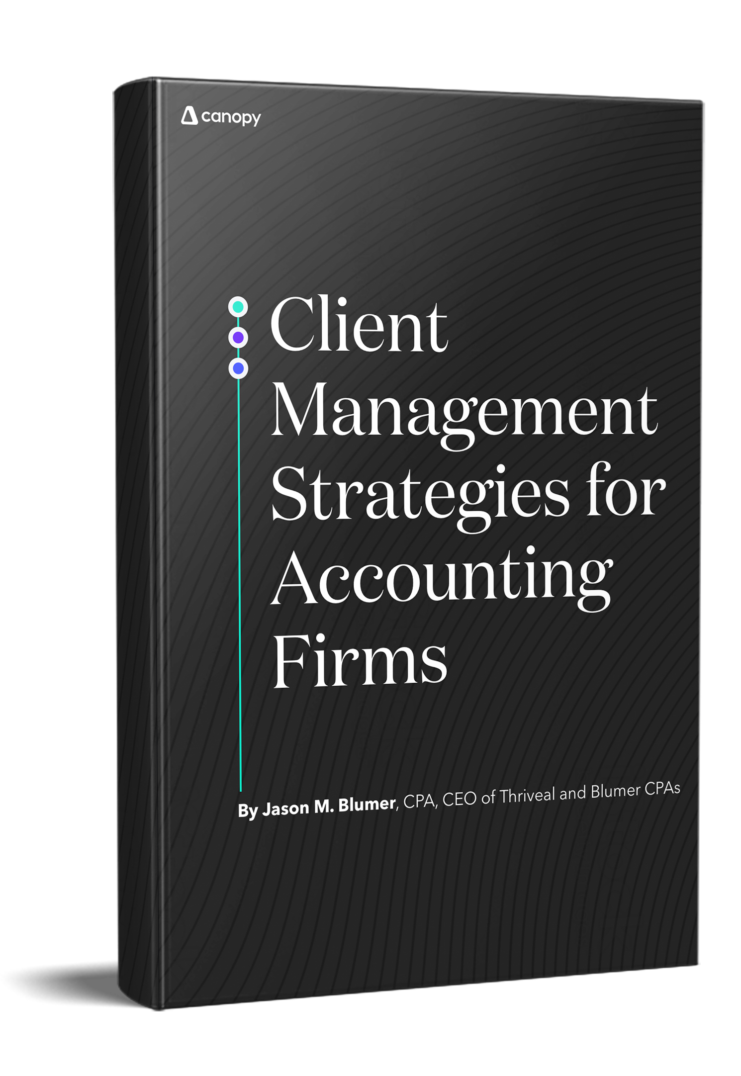 Client Management Strategies for Accounting Firms