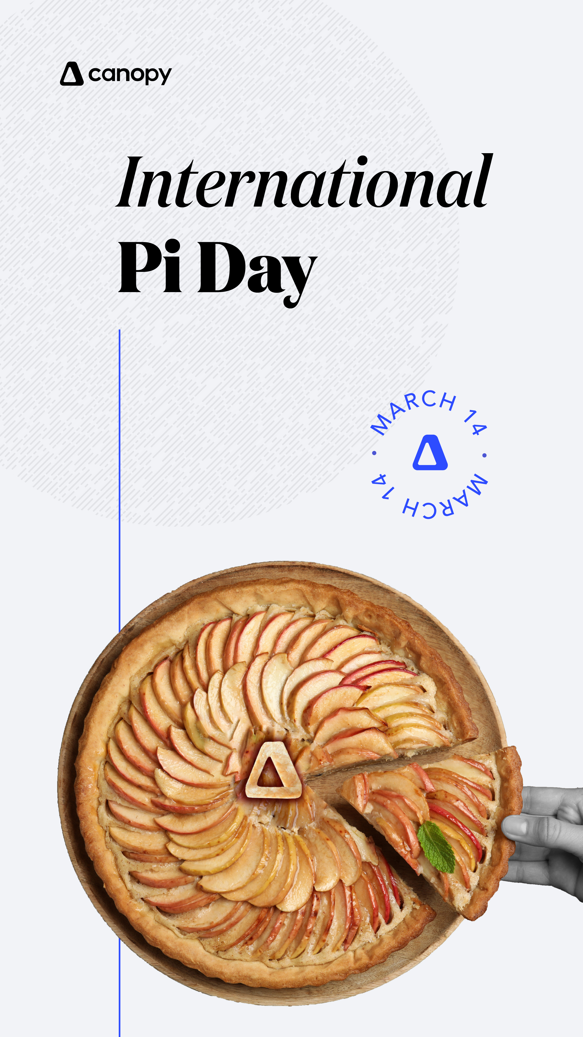 Celebrate Pi Day 2023: What Pie Flavor Are You?