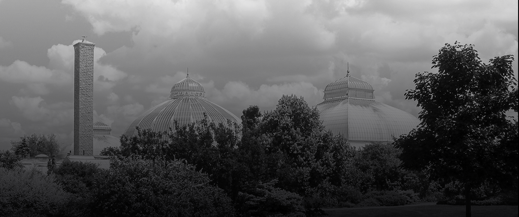 Hero image for Schlabach Enterprises Inc.: Maintain Quality of Work When Key Staff Leave