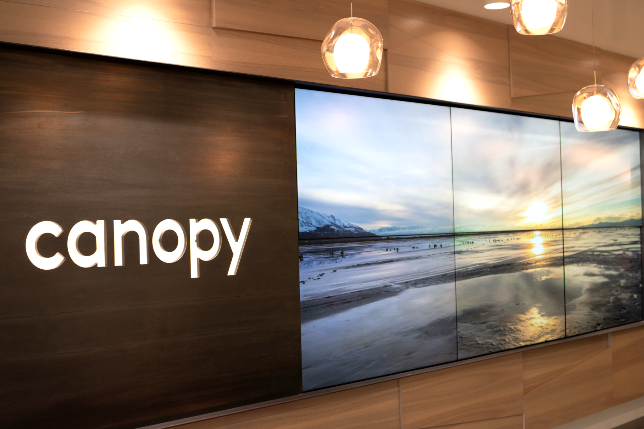 Canopy Welcomes New Vice President of Finance - Canopy